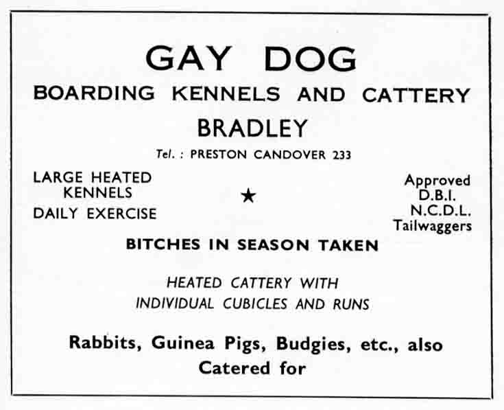 GAY DOG - Boarding Kennels