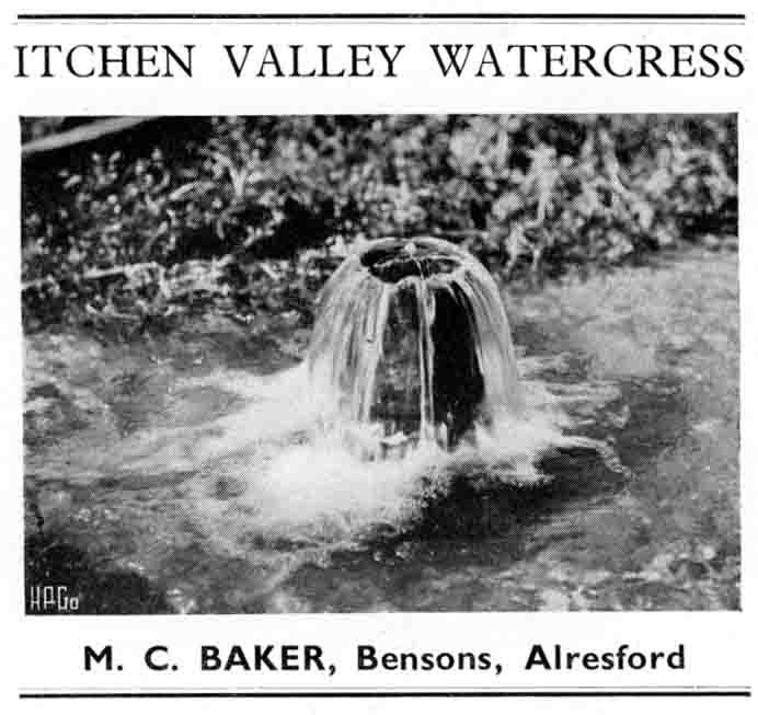 ITCHEN VALLEY WATERCRESS